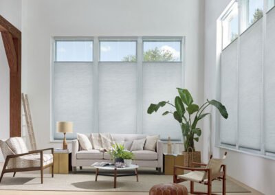 Large windows with honeycomb shades opened from top, modern expensive furniture and large tropical plant